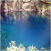 深く青い色の湖、十二湖の青池